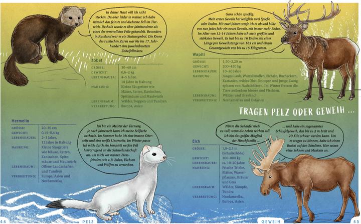 Immagine prodotto Wir sind die Tiere des Waldes (Tedesco, Sophie Schoenwald, 2024)