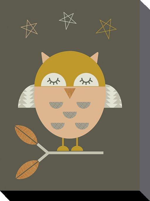Produktbild Pyramid Little Owl (30 x 40 cm)
