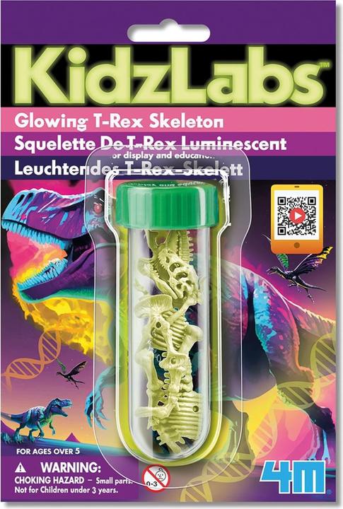 Produktbild 4M Leuchtendes T-Rex Skelett (Deutsch, Französisch, Englisch)