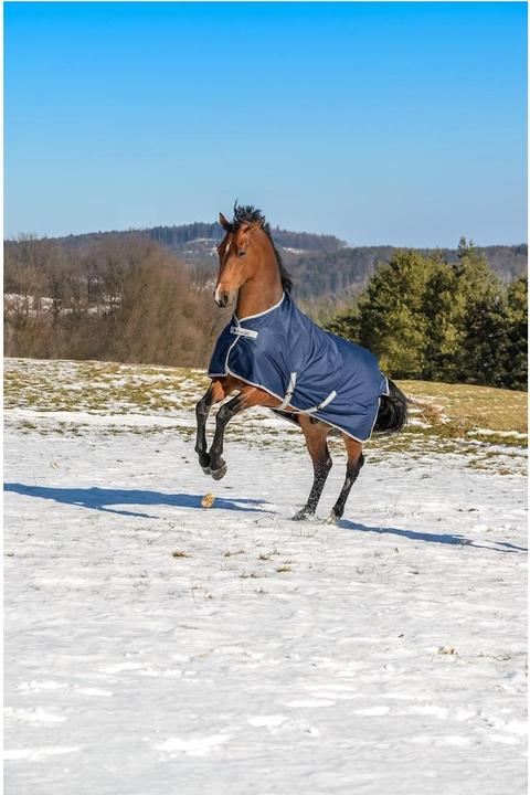 Produktbild Bucas Freedom Turnout 300g Winterdecke (135 cm)