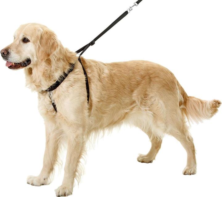 Produktbild Karlie Easy Walker (L, Hund, Spazieren)