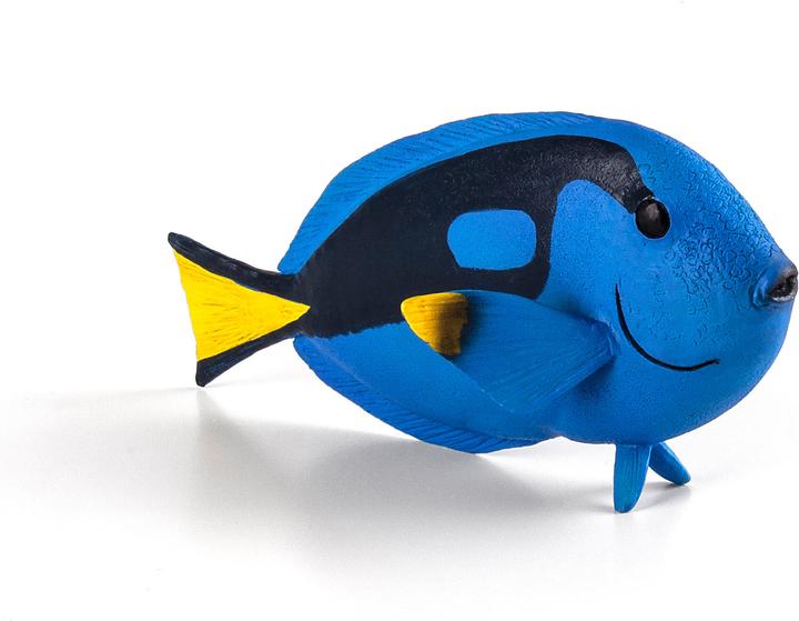Animal Planet Paletten-Doktorfisch