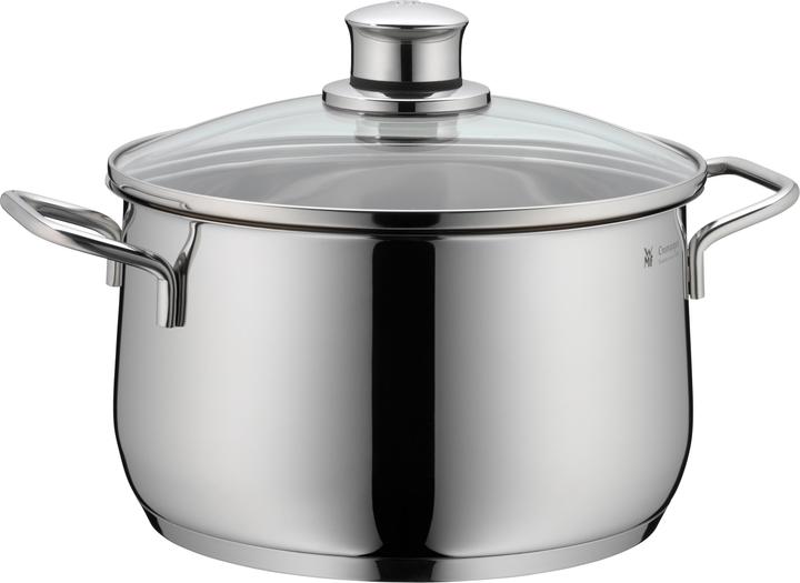 Actual product image WMF Diadem Plus (24 cm, Pot, Stainless steel)