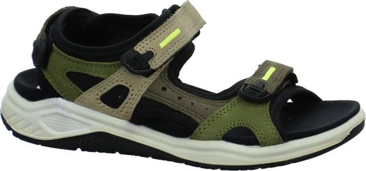 Ecco X trinsic (30)