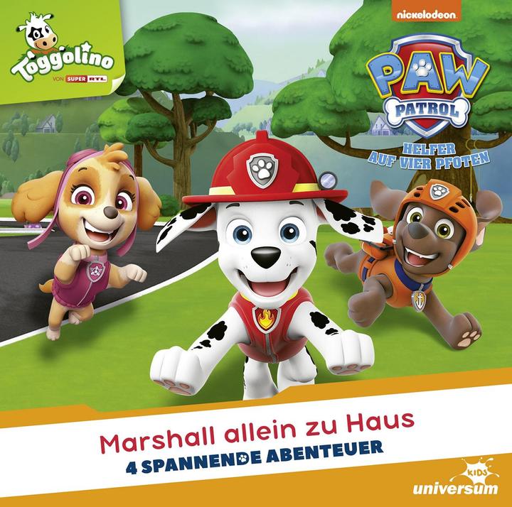 Actual product image Leonine Paw Patrol F19 - Marshall Alone at Home (German)