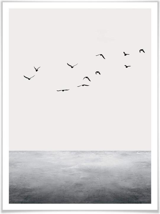 Image du produit Trenddeko La pleine mer (50 x 60 cm)