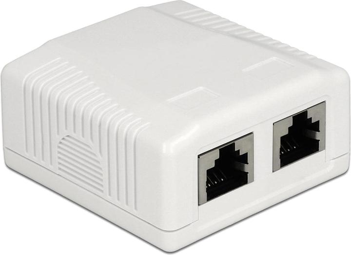 Image du produit Delock RJ-45 Cat.6A Boîtier : 2 ports (Accessoires réseau)