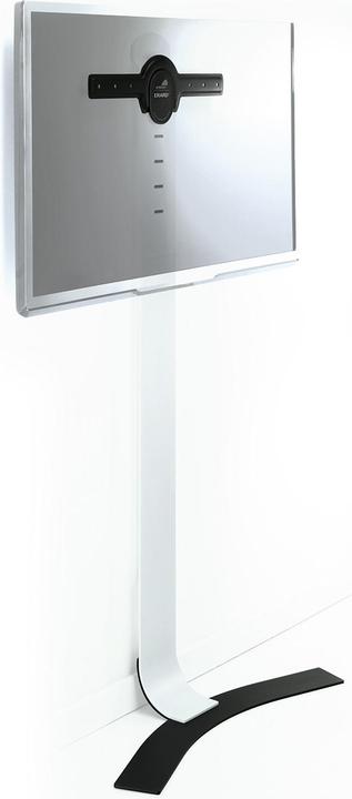 Image du produit Erard Standit 400 (65", 30 kg)