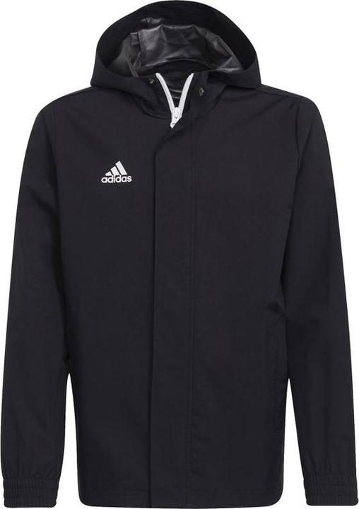 Image du produit adidas Veste Entrada 22 tous temps enfants (176)