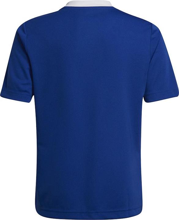 Actual product image adidas Entrada 22 Football Shirt Kids (116)
