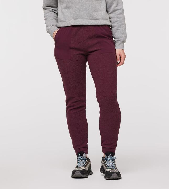 Produktbild Cotopaxi Abrazo Fleece Jogger (L)