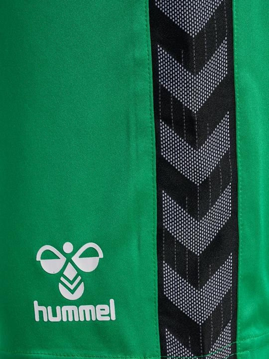 Image du produit hummel Hmlauthentic Pl Shorts (S)