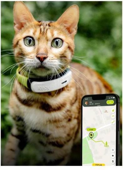 Immagine prodotto Kippy Cat GPS (Taglia unica, Gatto, Generale)