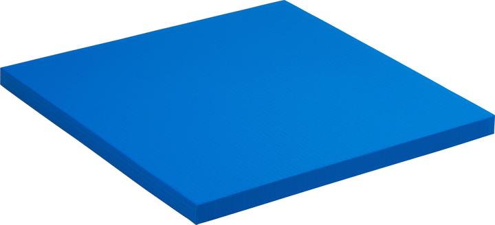 Actual product image Sport-Thieme Fall protection mat SL (6 cm)