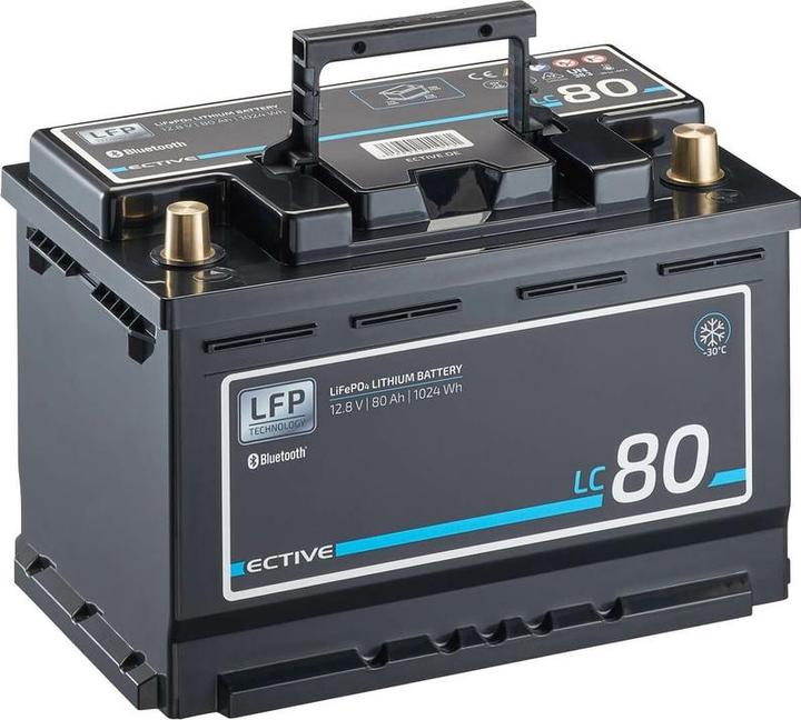 Immagine prodotto Ective LC100 (12 V, 100 Ah)