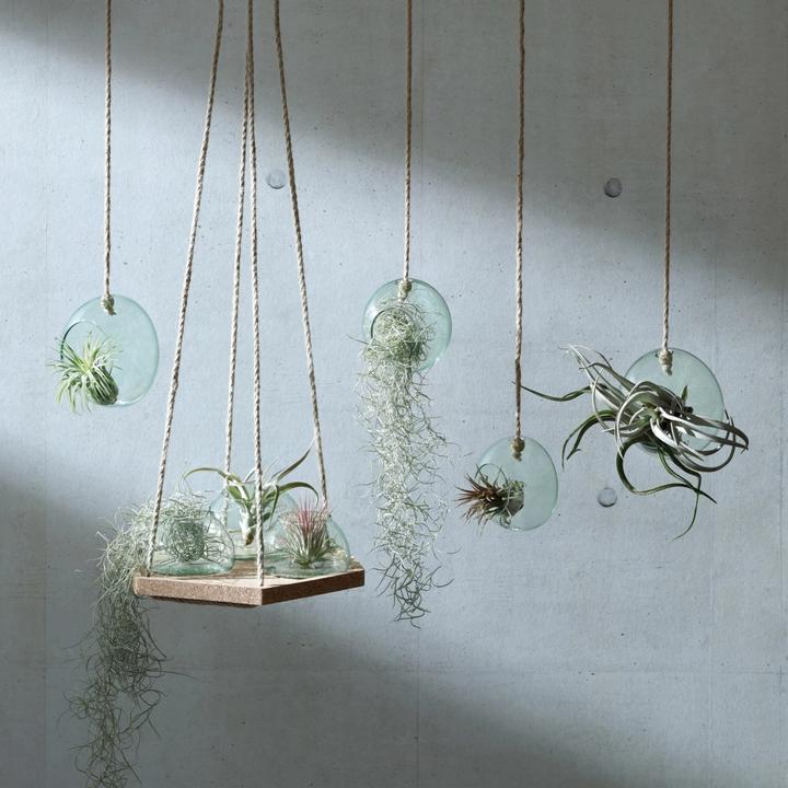 Actual product image LSA Canopy Hanging Planter Ø12cm recy. Optics (7 cm)