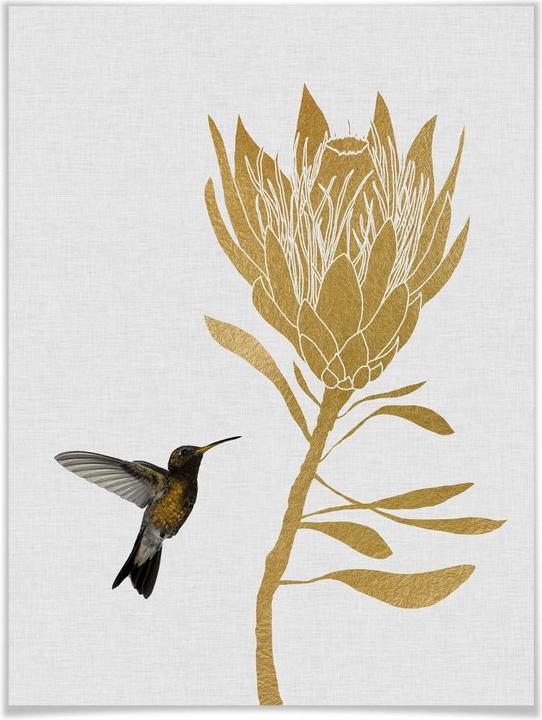 Image du produit Trenddeko Orara Studio - Colibri et fleur - fleur dorée (24 x 30 cm)