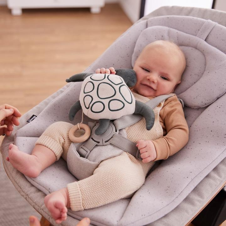 Produktbild Hauck Cuddle N Sleep Turtle