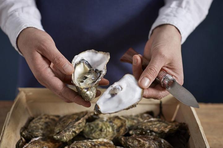 Actual product image Opinel Oyster knife N°09 (6.50 cm)