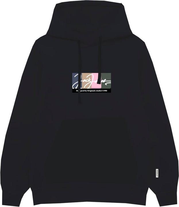 Actual product image Jack & Jones Jorportland Block Sweat Hood Ln (S)