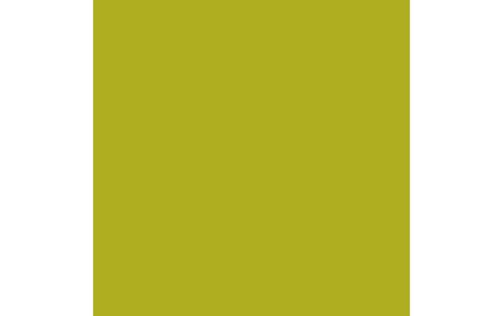Actual product image Amsterdam Acrylic Paint Standard Series (Olive Green Light, 120 ml)