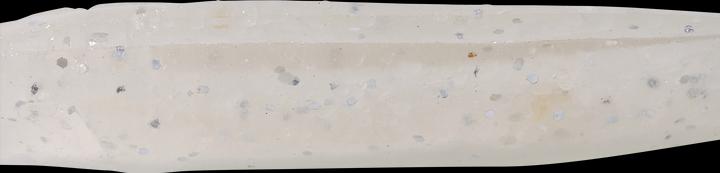 Produktbild Caperlan 332800 (6.20 cm)
