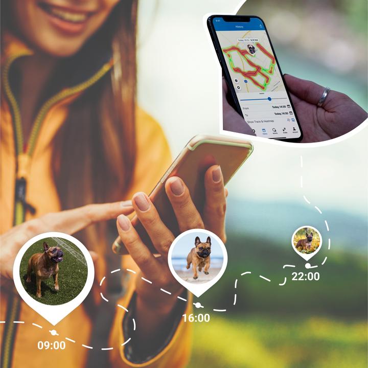 Actual product image Tractive Dog 4 GPS Tracker for Dogs (One size, Dog, General)