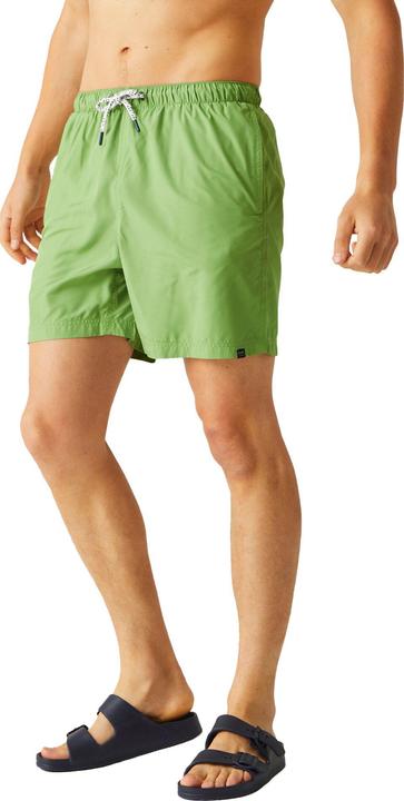 Actual product image Regatta Mens Mackleyna Swim Shorts (S)