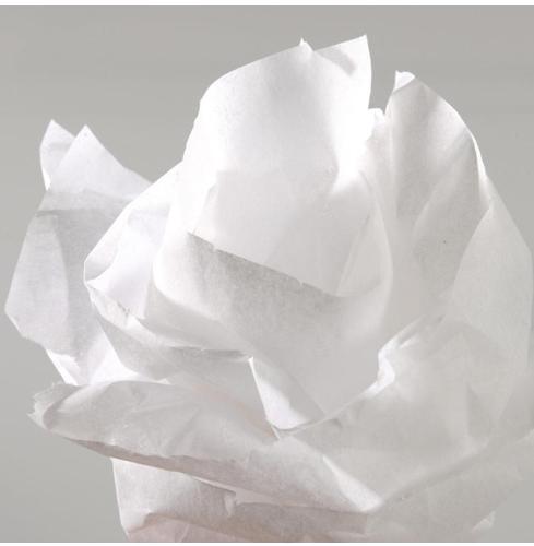 Image du produit Canson Papier de soie blanc 0,5x5m (20 g/m², 1 x)