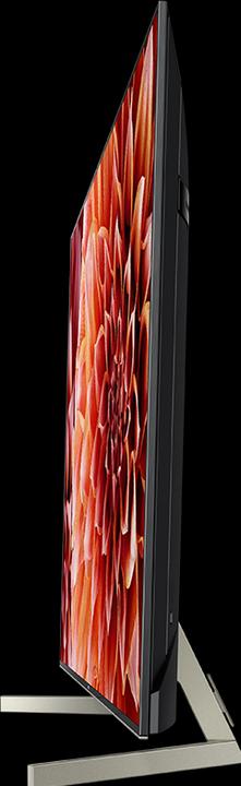 Immagine prodotto Sony Kd-49xf9005 (49", LCD, 4K, 2018)