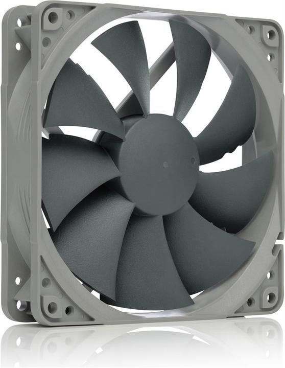 Image du produit Noctua Nf-p12 (120 mm, 1 x)
