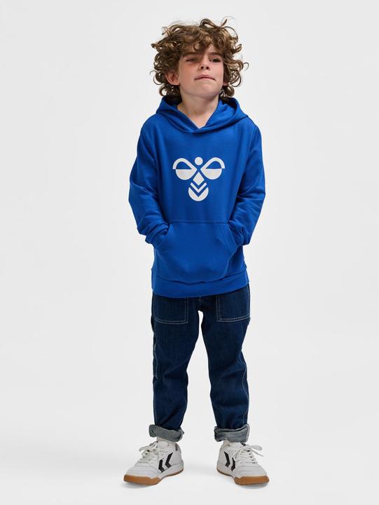 Actual product image hummel hmlCUATRO HOODIE (116)
