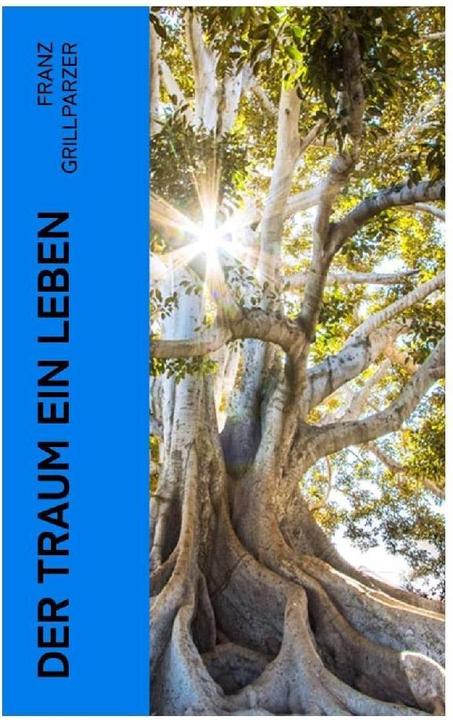 Image du produit Der Traum ein Leben (Franz Grillparzer, 2023)