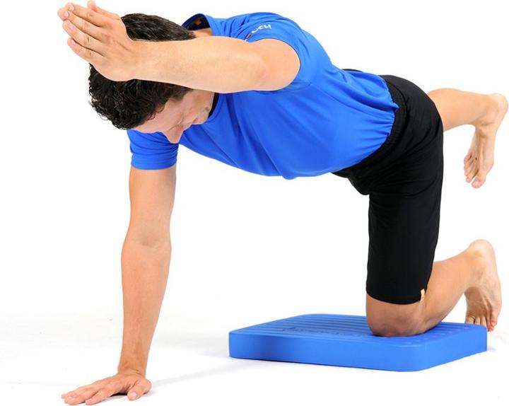 Actual product image Artzt Stability trainer