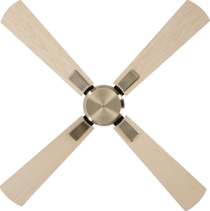 Actual product image CasaFan DC ceiling fan Eco Neo III WiFi 103 MA AH-BU (46.40 dB)