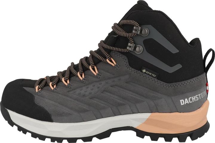 Image du produit Dachstein SF-21 MC GTX (38.5)