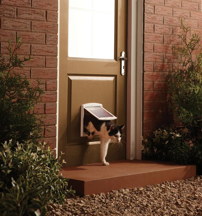 Actual product image Staywell Cat door 715 (Manual cat flap)