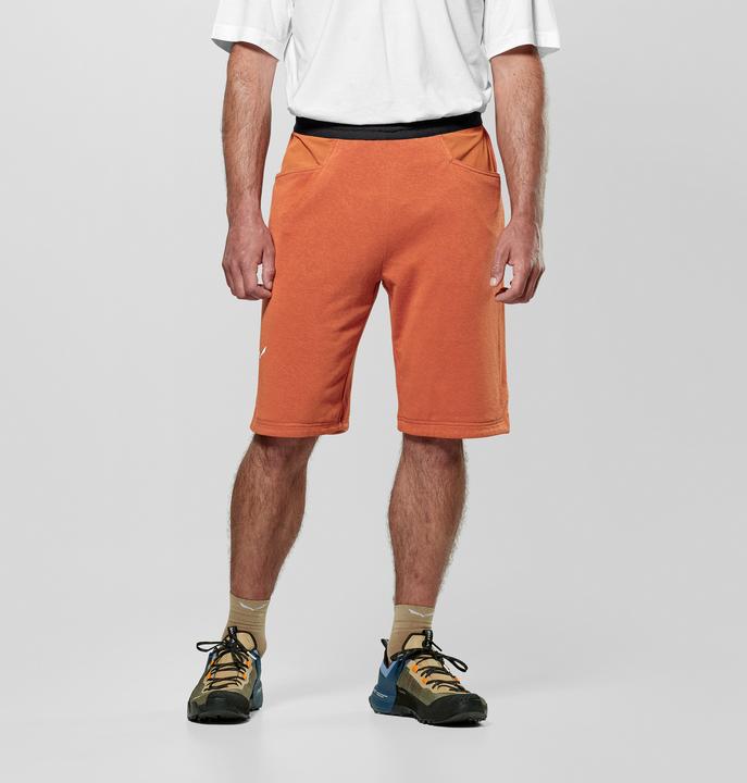 Actual product image Salewa Agner Hemp Shorts M (54)