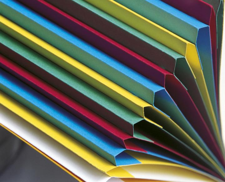 Actual product image Exacompta HARMONIKA - A4 file folders (A4, 1 x)