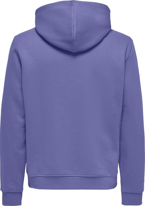 Produktbild Only & Sons Onsconnor Reg Sweat Hoodie Noos (XS)