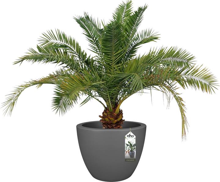 Produktbild Elho Pure Soft (59 cm)
