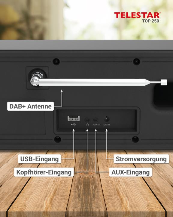 Immagine prodotto Telestar TOP 250 DAB+ Internetradio schwarz (Web radio, VHF, DAB, Bluetooth, WiFi)