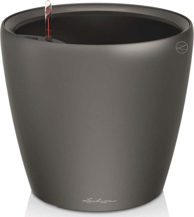 Actual product image Lechuza Classico (36 cm)