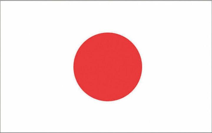 Actual product image Espa Japan Fan Flagge 90 x 150cm