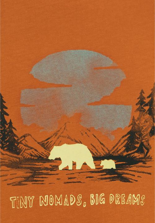 Immagine prodotto Jack Wolfskin Graphic Cotton T Kids (116)