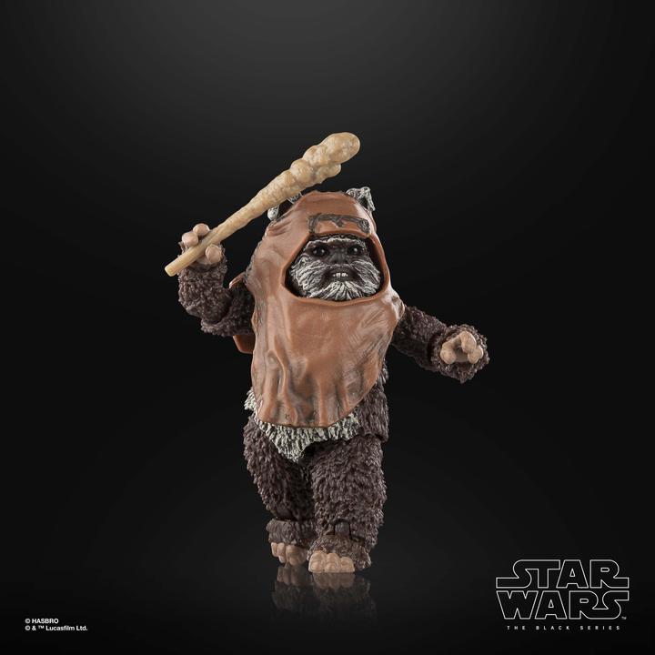 Actual product image Hasbro Star Wars Episode VI Black Series figurine Wicket 15 cm