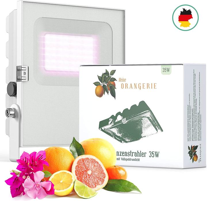 Immagine prodotto Meine Orangerie 35,0 Watt (LED, 230 V)