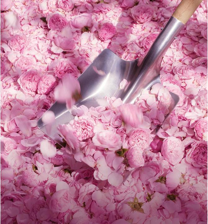 Actual product image Dior Miss (Body mist, 100 ml)
