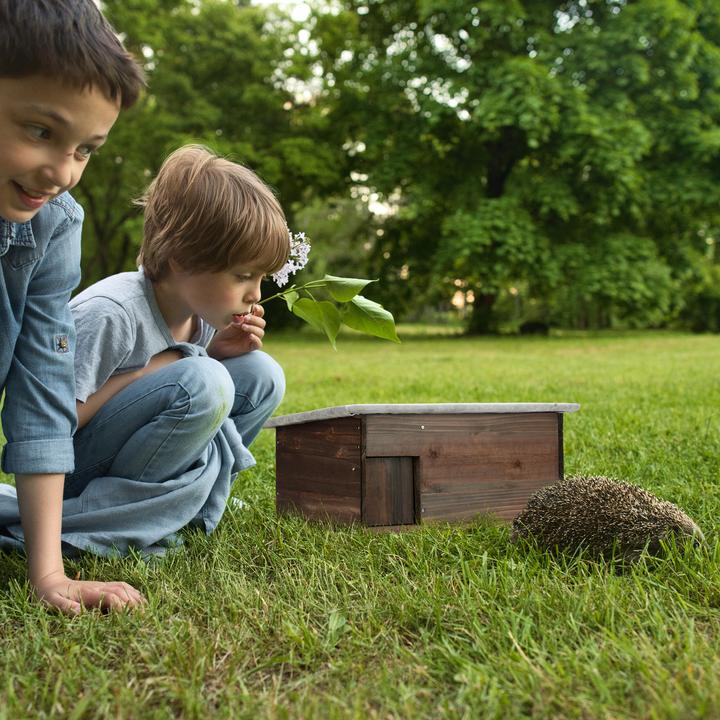 Actual product image Relaxdays Hedgehog House