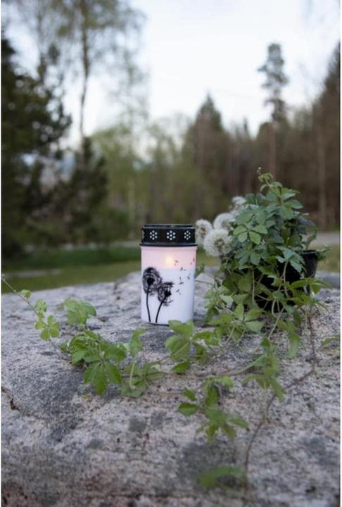 Produktbild Star Trading LED Grablicht Dandelion (1 x)